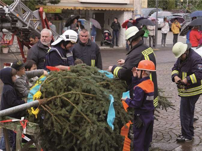 Maibaum wehrte sich gegen das Stellen 