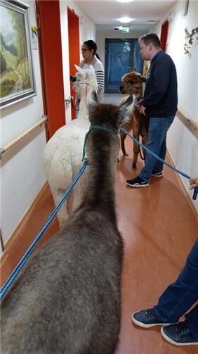 Ein unvergessliches Erlebnis: Flauschig-tierischer Besuch 