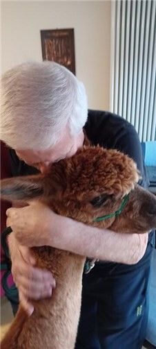 Ein unvergessliches Erlebnis: Flauschig-tierischer Besuch 