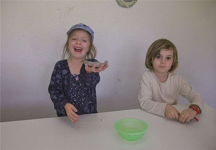 Schlaue Delfine in einer Tonwerkstatt 