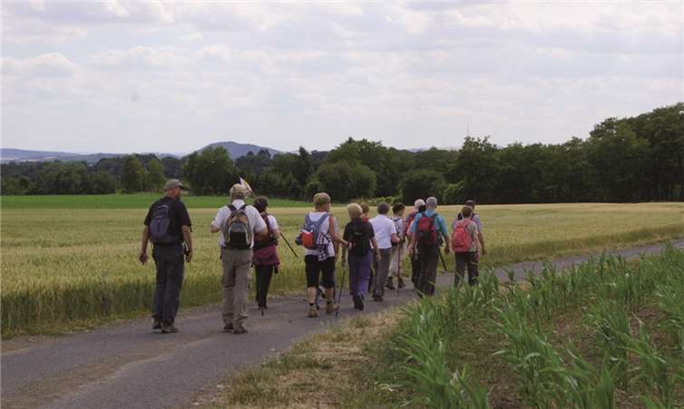 Mit Rucksack unterwegs - Traumpfade und Rheinsteig 