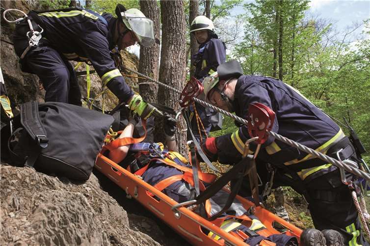 In der Felswand knapp 80 Höhenmeter überwunden 