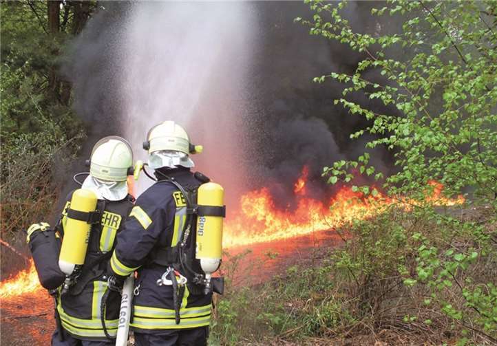 Rettung von verletzten Personen, ein Verkehrsunfall und ein Brand 