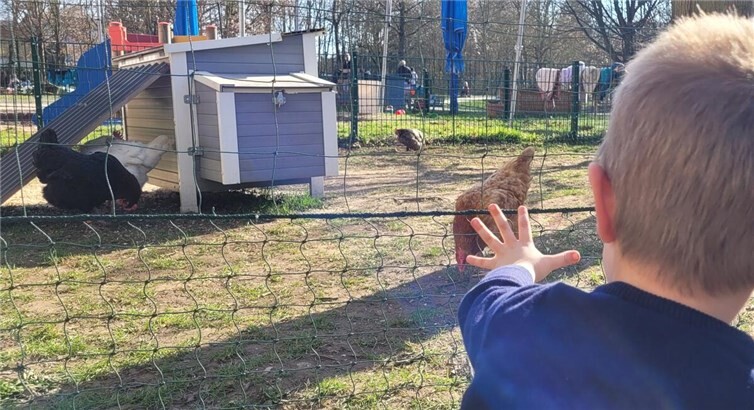 Gefiederte Gäste im Regenbogenland 