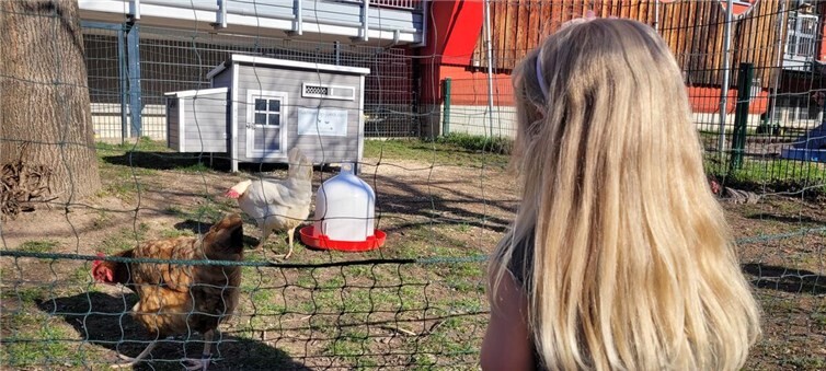 Gefiederte Gäste im Regenbogenland 