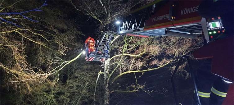 Bild: FW Feuerwehr Königswinter, privat