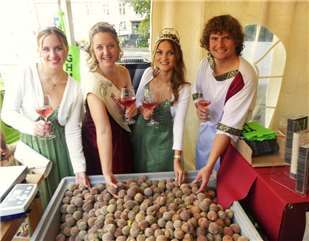 Fotogalerie: Erntemarkt des MoselWeinbergPfirsichs 2025