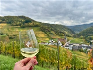 Fotogalerie: Weinherbst Mittelahr 2025