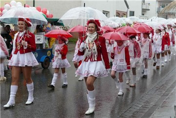 Fotogalerie: Karnevalsumzug in Oedingen 2026