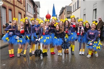 Fotogalerie: Veilchendienstagsumzug Heimbach 2026