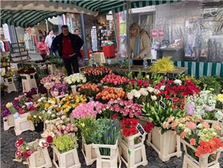 Fotogalerie: Hasenhoppeln & Heimatshoppen in Mayen 2026