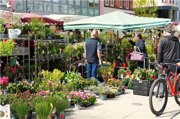 Fotogalerie: Gartenmarkt in Neuwied 2026