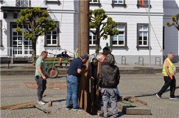 Fotogalerie: Maibaumaufstellung Sinzig 2026
