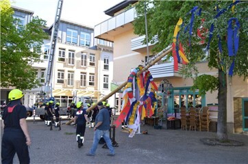 Fotogalerie: Maibaumaufstellen in Remagen 2026