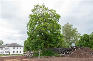 Fotogalerie: Rückbau der ehemaligen Fritsch Kaserne Koblenz 2026
