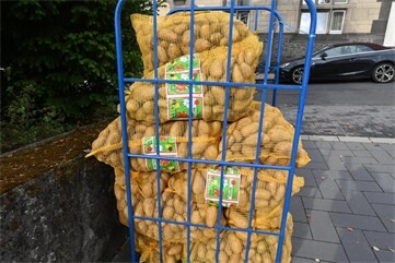 Fotogalerie: Kröbbelchesfest 2026