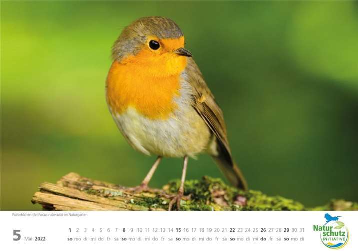 Bilder von bezaubernden Tieren entlang der Westerwälder Seenplatte schmücken den Kalender.