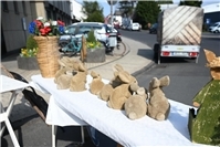 Nun kann endlich der Frühling kommen