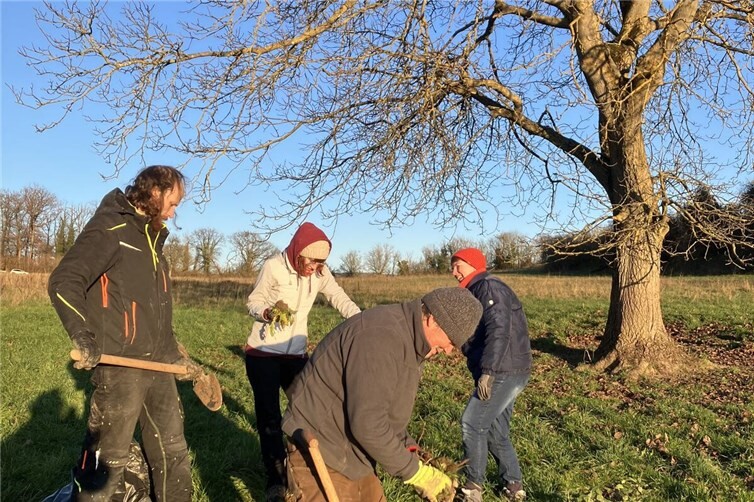 Biotopbetreuer Martin Unfricht mit Klimabündnis-Akteur•innen beim Ausstechen des tiefwurzelnden invasiven Zackenschötchens