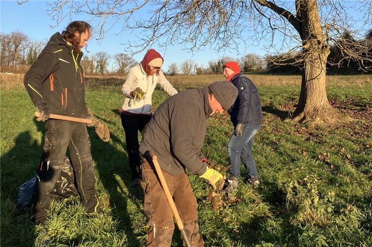Biotopbetreuer Martin Unfricht mit Klimabündnis-Akteur•innen beim Ausstechen des tiefwurzelnden invasiven Zackenschötchens