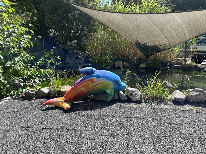 Bis der Delfin mit seinem Besitzer oder seiner Besitzerin wiedervereinigt werden kann, verweilt er am dienststelleneigenen Teich. Foto: Polizeidirektion Koblenz