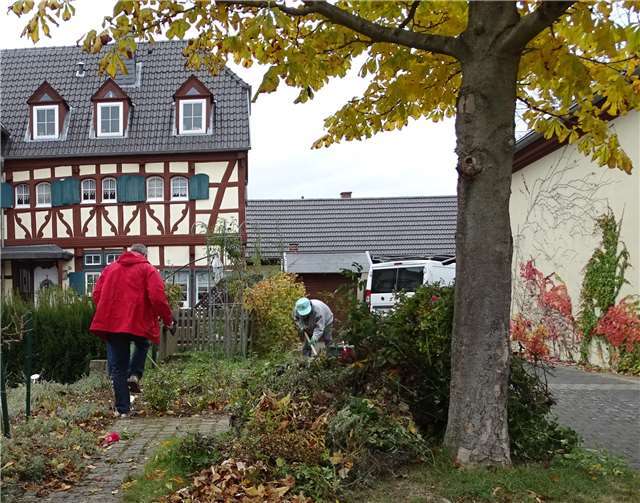 Bis in die Mittagsstunden wurde kräftig angepackt.