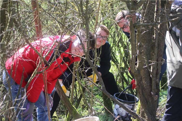 Bis ins tiefe Gebüsch wagten sich die Jugendlichen.