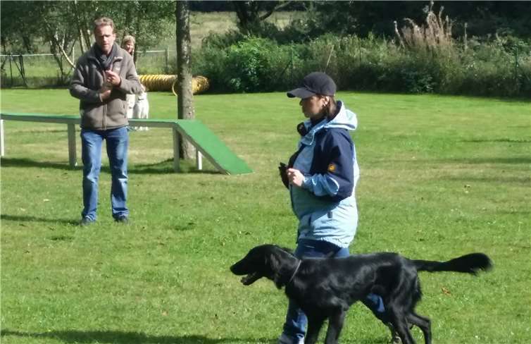 Bis zu 10 Hundehalter samt Hund plus 1 Trainer dürfen auf einen Übungsplatz. Fotos: privat