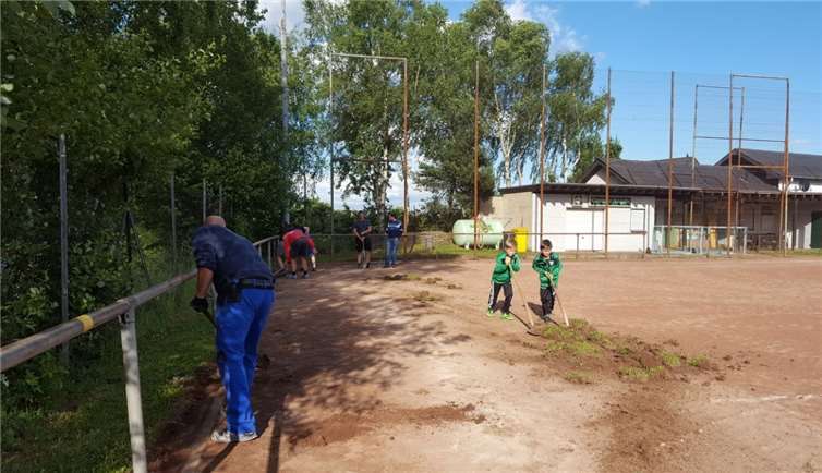 Bis zu 30 Vereinsmitglieder beteiligten sich an vier Tagen an der anstrengenden Arbeit.