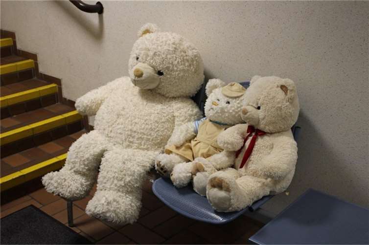 Bis zur Abholung warten die Teddys bei der Polizeiinspektion. Foto: Polizei