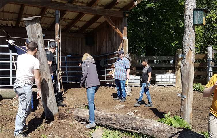 Bisher konnten Hecken- und Biotoppflegeaktionen zusammen mit der NABU-Gruppe Kroppacher Schweiz sowie diverse Arbeiten im Beweidungsprojekt des NABU auf der Schmidtenhöhe bei Koblenz erfolgreich durchgeführt werden. Foto: Joachim Vohs
