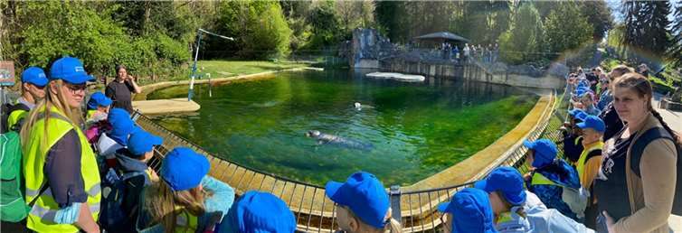 Blaue Kappen und gelbe Westen, die Kinder von der Ahr.