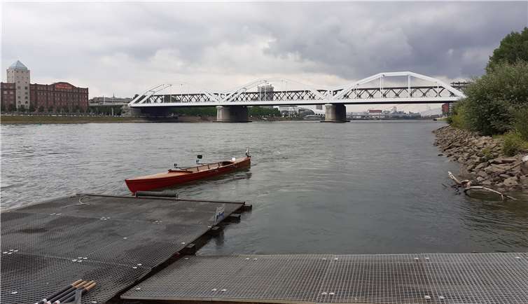 Blick auf Ludwigshafen. Fotos: privat