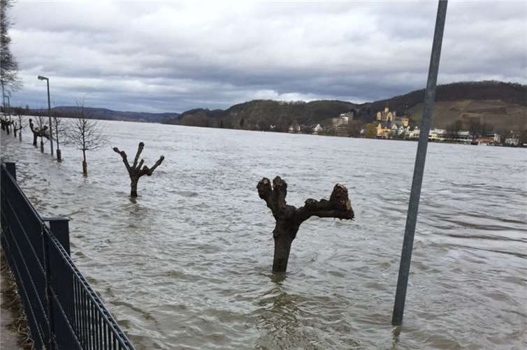 Blick auf das Ende des Bödikerwegs Richtung Bad Breisig Zentrum. Foto: KMI