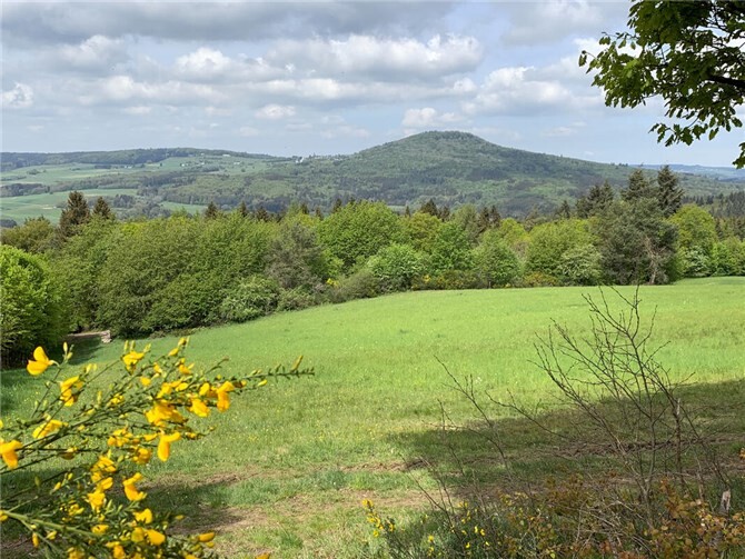 Blick auf den Aremberg.