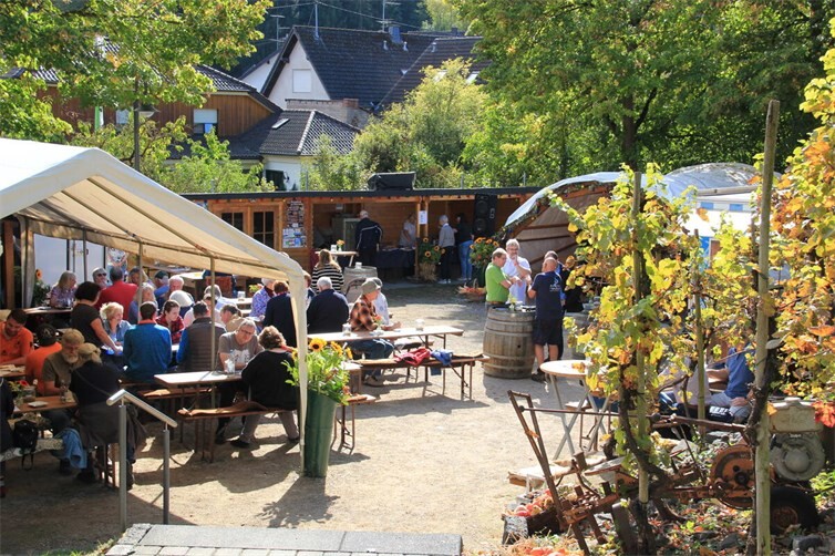 Blick auf den Festplatz unterhalb der alten Schule von Oberzissen.