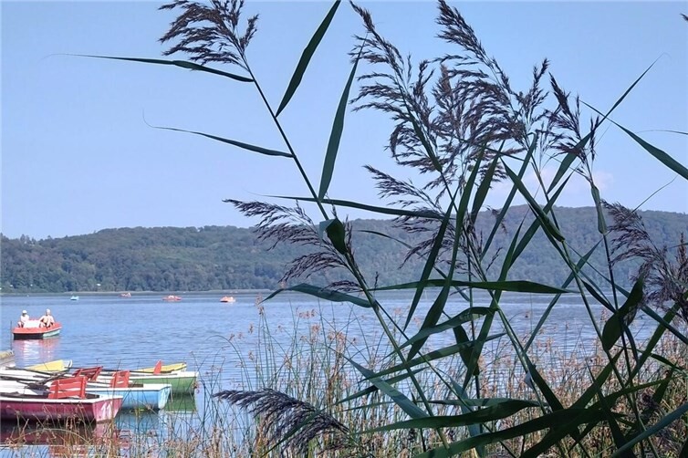 Blick auf den Laacher See