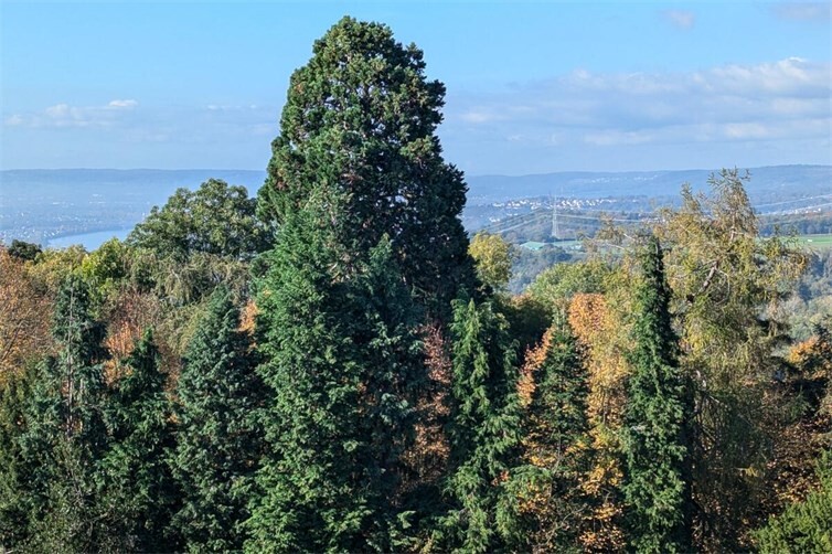 Jahresabschluss-Führung im Bibelgarten Koblenz-Arenberg 