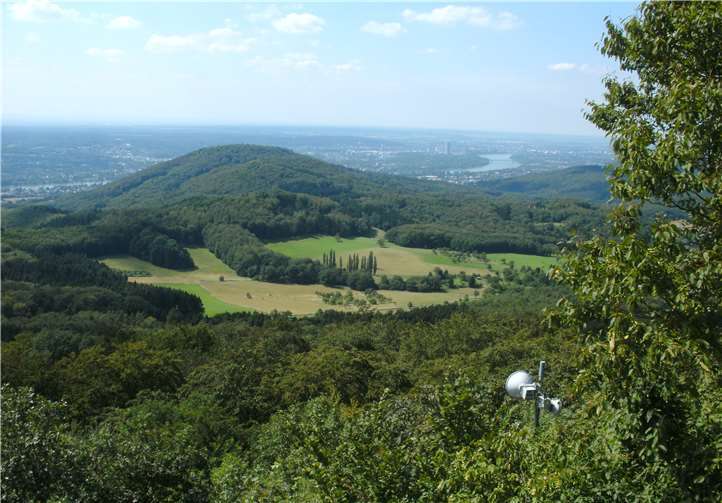 Blick auf den Ölberg. Steiwarz