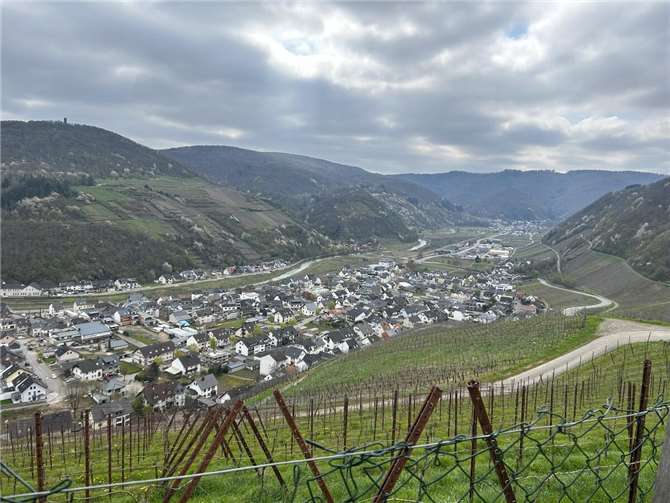 Blick auf die Ahr. Foto: Susanne Müller