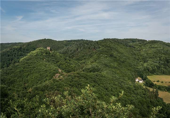 Blick auf die Neuerburg vom Klosterweg. Copyright: Andreas Pacek