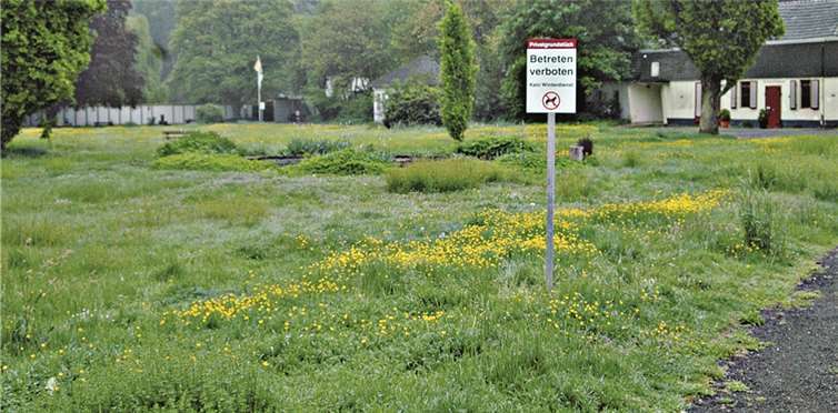 Blick in den verwildert-romantischen Kurpark: Der Zug für das Heilbadprädikat ist wohl abgefahren; der Name Bad Bodendorf könnte erhalten bleiben. BL