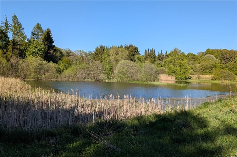 Blick in die Naturerbefläche Westerburg