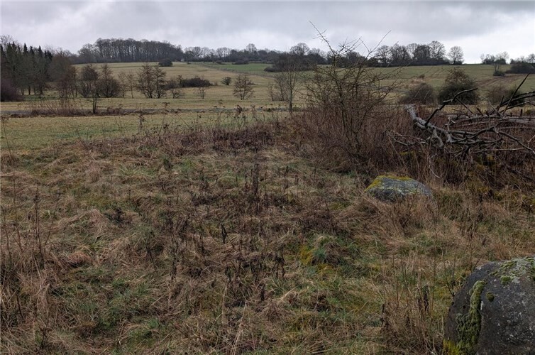 Blick in die Naturerbefläche Westerburg