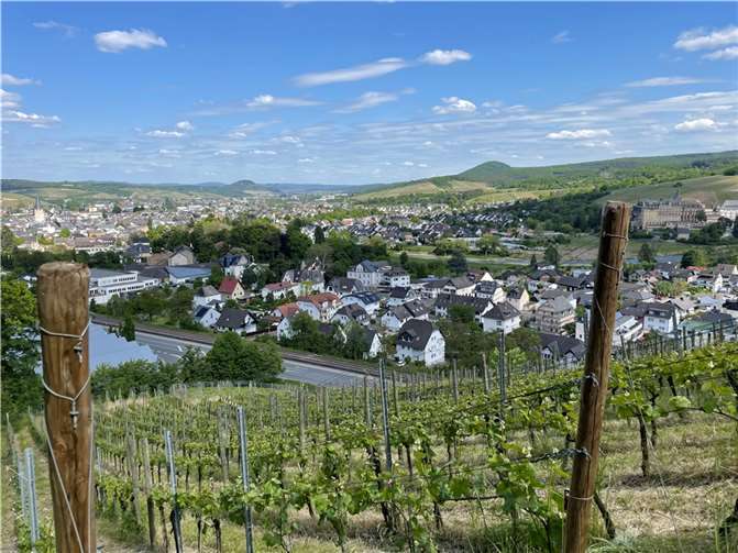 Blick über Bad Neuenahr-Ahrweiler. Foto: ROB
