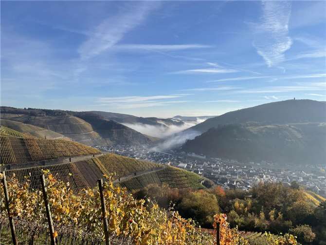 Blick über Dernau.  Foto: Martin Schell