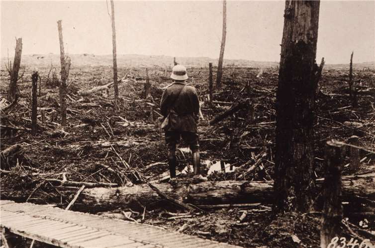 Blick über den Wald. Deutsches Historisches Museum/ Inv.-Nr.: F75/188