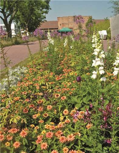 Blick über die schön angelegte Blumenpromenade mit bunten Sommerblumen.