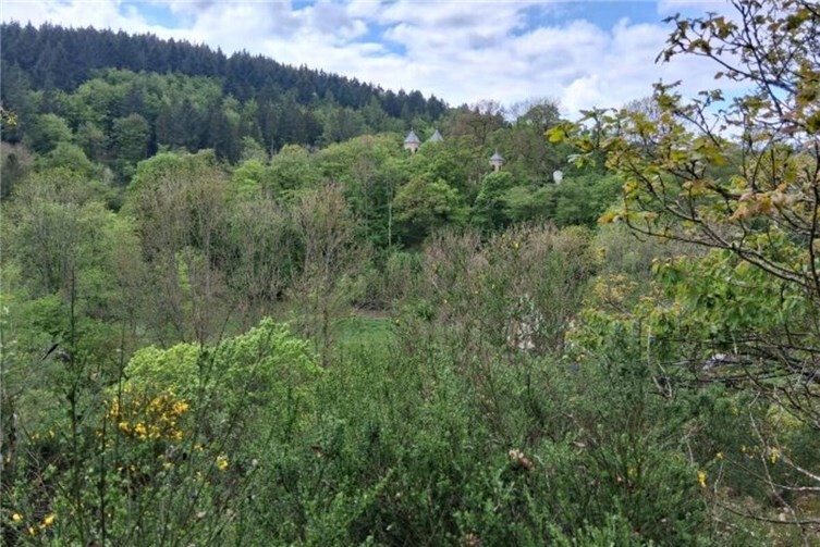 Blick zum Kreuzwäldchen