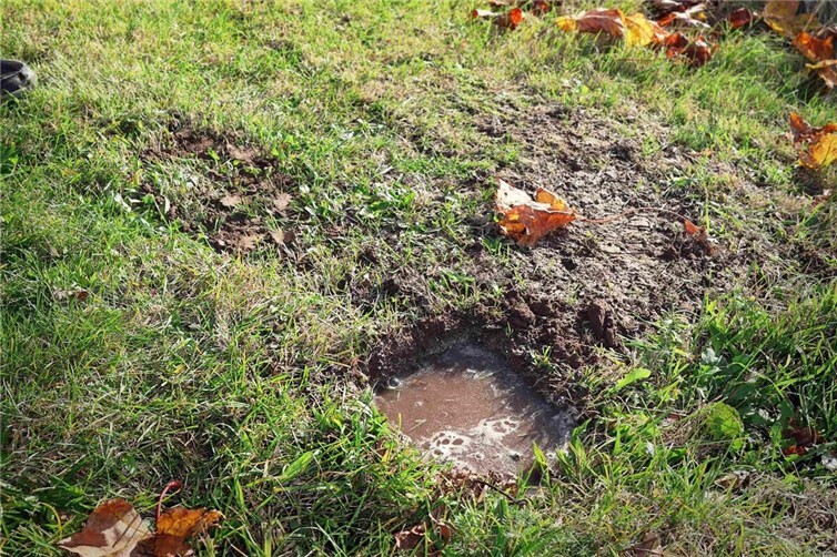 Blubbernde Wasserlache am Rheinufer